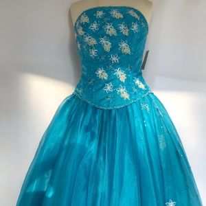 Quinseñera/ prom dress